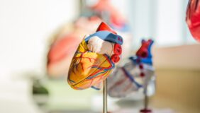 Creasphere Insights –  Cardiovascular Disease